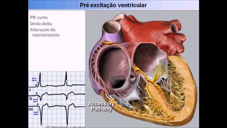 Explorando o Feixe de Kent: Estrutura e Aplicações