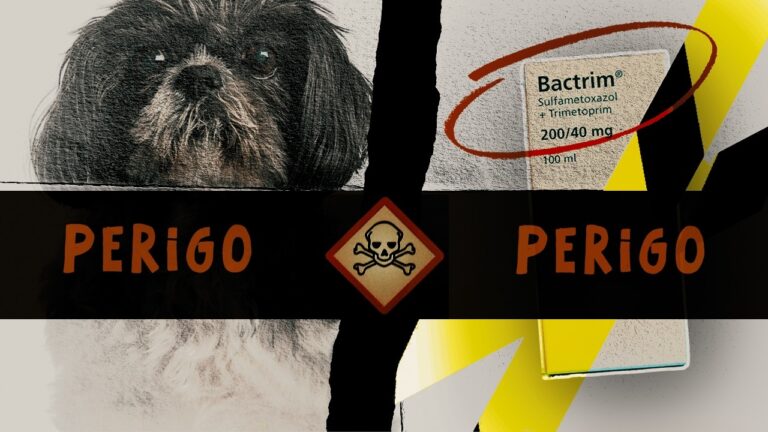 Sulfa para Cachorro: Uso e Cuidados Essenciais