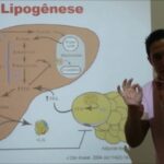 Calculadora da Taxa de Filtra&ccedil;&atilde;o Glomerular: Como Usar e Interpreta&ccedil;&otilde;es