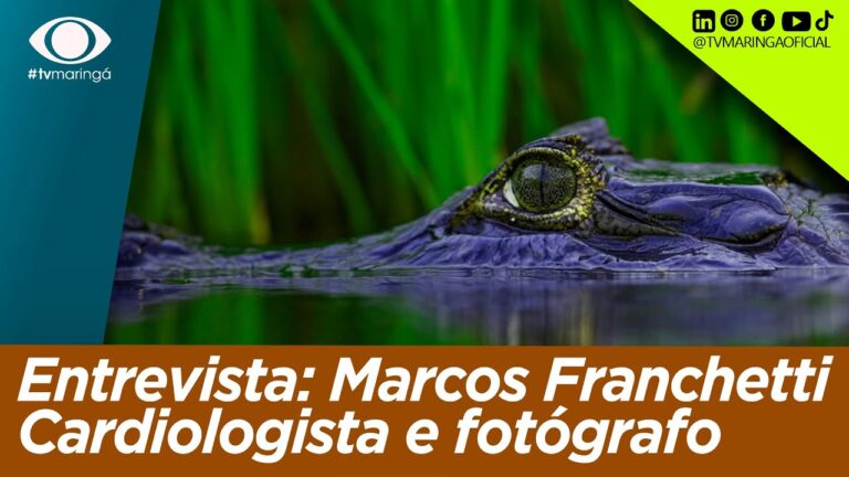 Melhores Cardiologistas em Maringá: Cuidados e Especializações