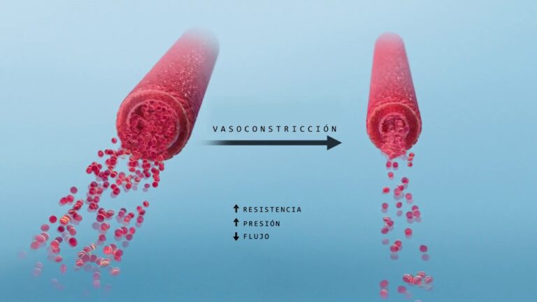Entendendo a Resistencia Vascular Sistêmica: Fatores e Implicações