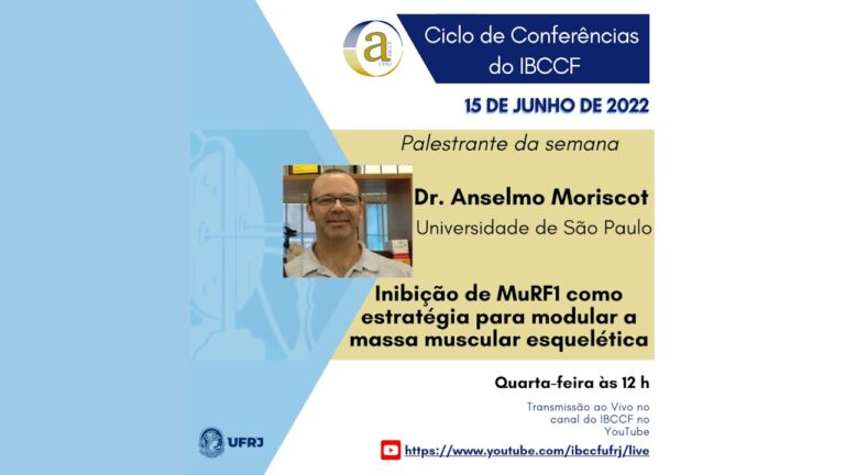 Muscula&ccedil;&atilde;o Modular: Transforme Seu Treino com Efic&aacute;cia