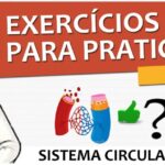Prepúcio: Hipertrofia e Tratamento