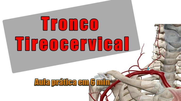 Avaliação e Importância do Tronco Tireocervical na Cirurgia Cervical
