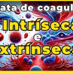 Uso e Efic&aacute;cia da Nitrofuranto&iacute;na L&iacute;quida