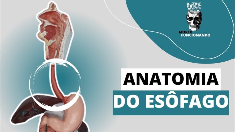 Entendendo as Constrições Esofágicas: Causas e Tratamentos