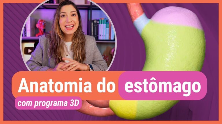 Entendendo o Canal Pilórico: Função e Importância na Digestão