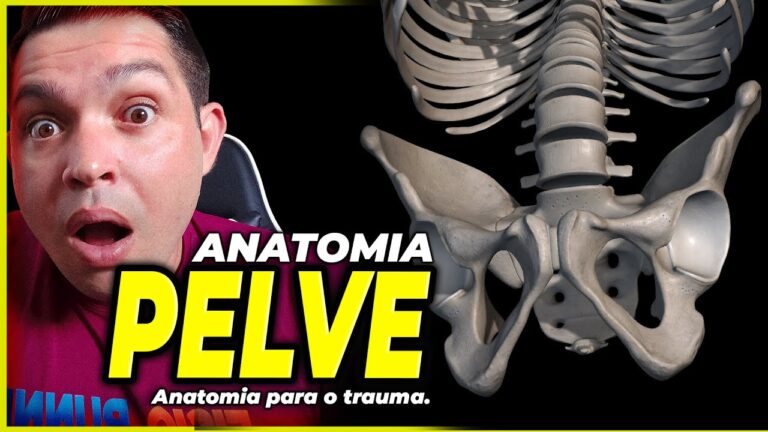 An&aacute;lise da Cavidade &Oacute;ssea Inferior do Tronco e Bacia