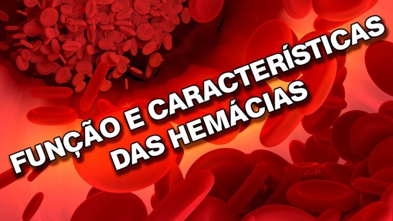 Eritropoetina: Função e Importância na Regulagem da Produção de Glóbulos Vermelhos