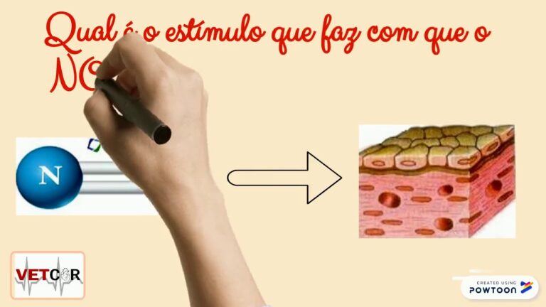 Entendendo o Endotélio: O Que é e Sua Importância