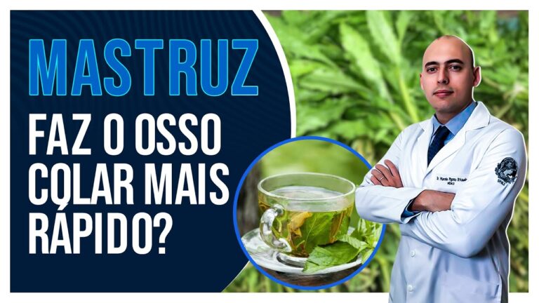 Sementinha Cola Osso: Benefícios e Aplicações na Saúde óssea