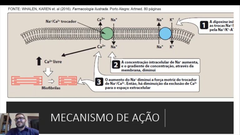 Mecanismo de A&ccedil;&atilde;o da Digoxina: Entendendo Seus Efeitos