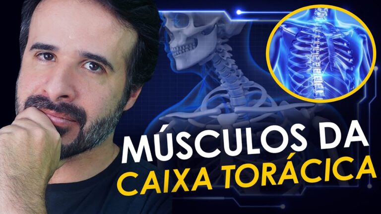Fortalecendo os M&uacute;sculos das Costelas: Dicas e Exerc&iacute;cios Essenciais