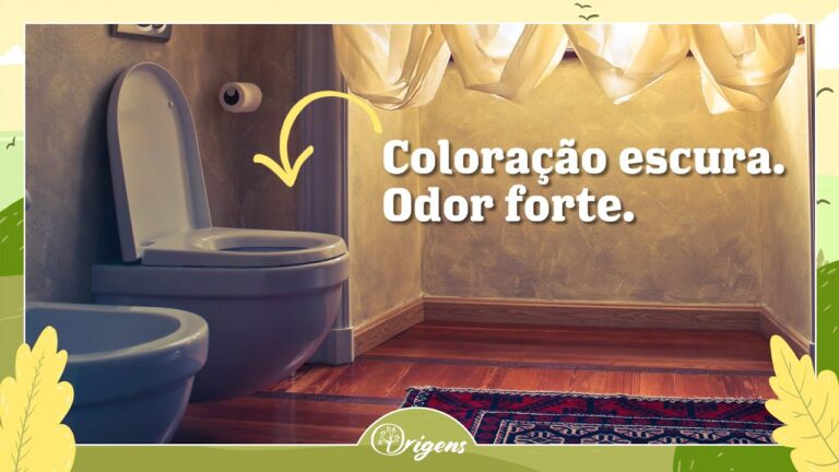 Entendendo o Trigono da Bexiga: Função e Importância