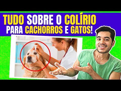 Colírios Antibacterianos: Eficácia e Uso Seguro