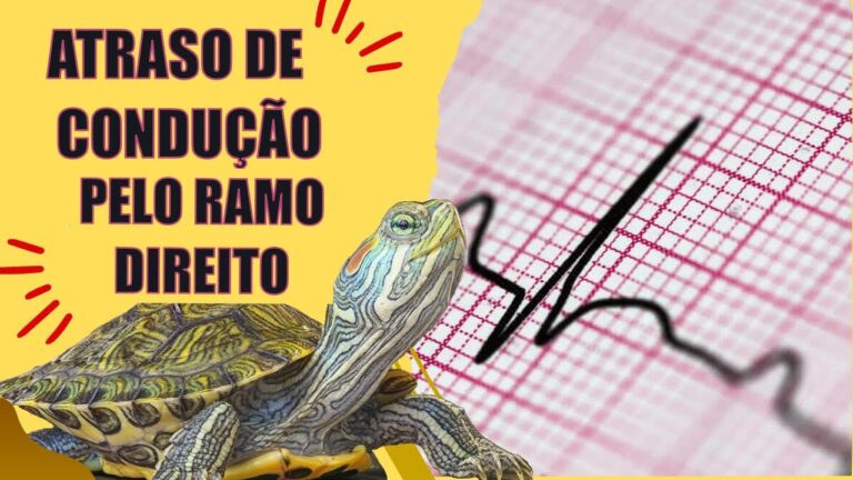 Atraso Final de Condução: Causas e Soluções