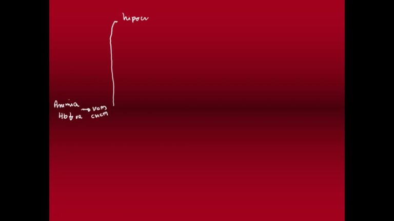 Entendendo a Anemia Hipercr&ocirc;mica: Causas e Sintomas