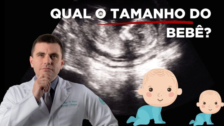 Calculadora de Tamanho do Feto: Guia Completo para Gestantes