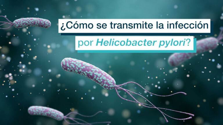 Transmiss&atilde;o da H. pylori: O que Voc&ecirc; Precisa Saber