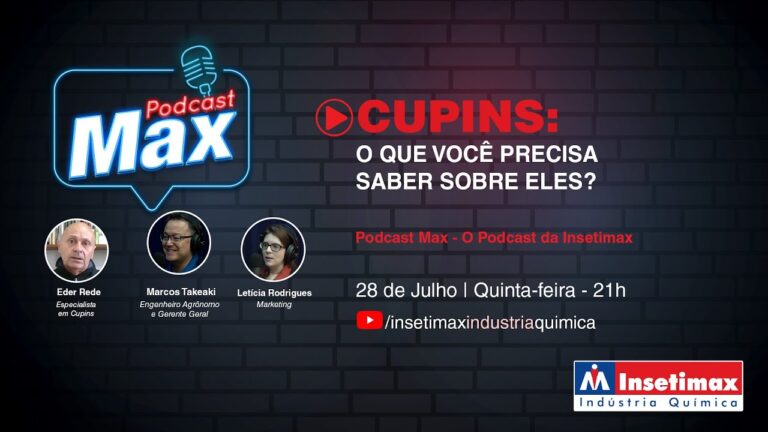 Os Riscos do Consumo de Cupim para a Saúde Humana