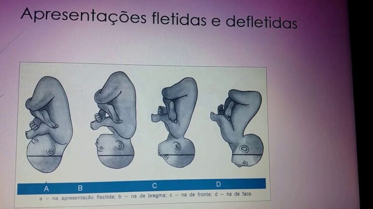 Explorando a Variedade de Posi&ccedil;&atilde;o nas Organiza&ccedil;&otilde;es