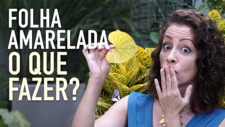 Causas e Tratamentos para Manchas Amarelas no Pé