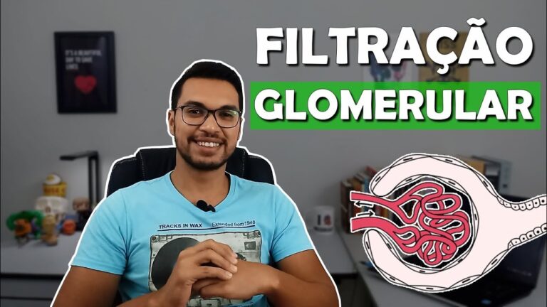 Entendendo a Filtração Glomerular: O Que É?