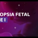 Proteína na Urina: Causas e Tratamentos