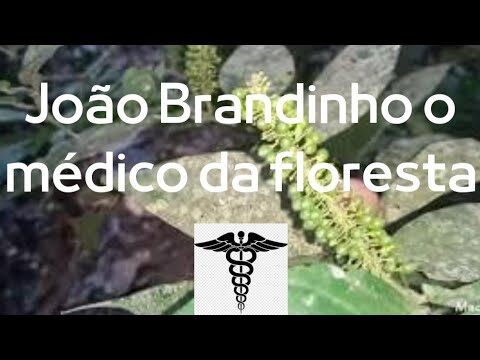 João Brandinho: Inovações e Impactos no Setor Atual