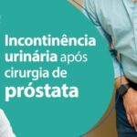 Significado e Import&acirc;ncia do MSS