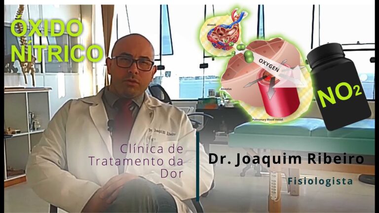 Funções do Óxido Nítrico no Organismo