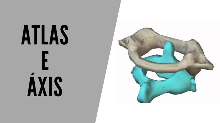 Ossos Atlas e Axis: Estruturas e Funções Essenciais da Coluna Vertebral