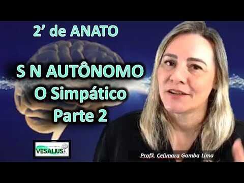 Nervos Esplâncnicos: Funções e Importância no Sistema Nervoso Autônomo