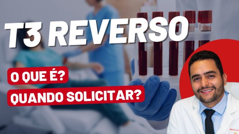 T3 Reverso Alto: O Futuro da Mobilidade Sustentável