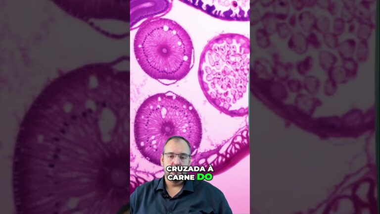 Entendendo a Alergia à Carne de Boi: Sintomas e Cuidados