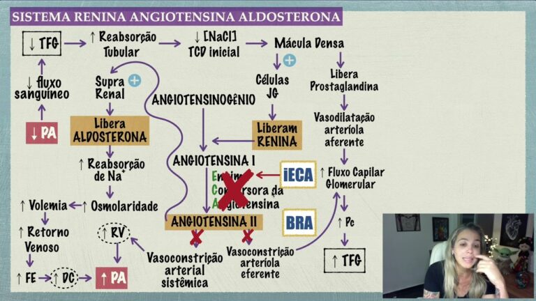 Exemplos Práticos de IECA na Educação