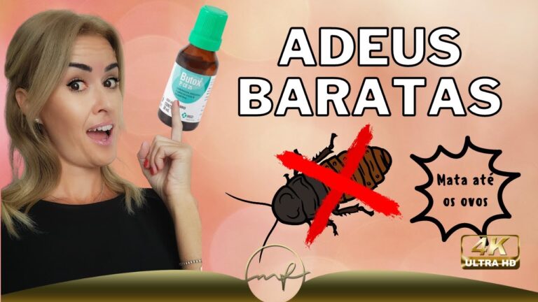 K-Othrine ou Butox: Qual é o Melhor para Combater Baratas?