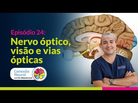 Entendendo o Nervo Óptico: Funções e Importância