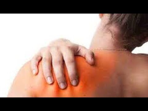 Explorando a Tuberosidade do &Uacute;mero: Import&acirc;ncia e Fun&ccedil;&otilde;es