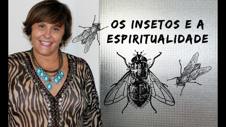 Significado das Muitas Moscas Varejeiras
